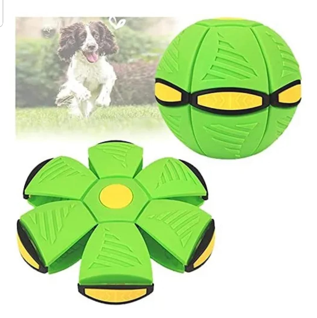 Pelota Juguete Voladora