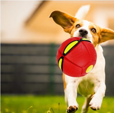 Pelota Juguete Voladora